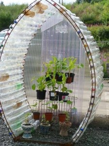 Upcycle Bottle greenhouse