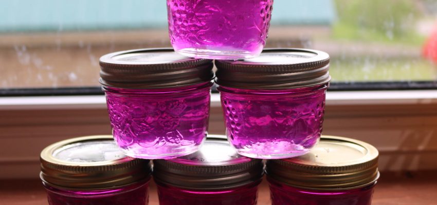 violet jelly recipe