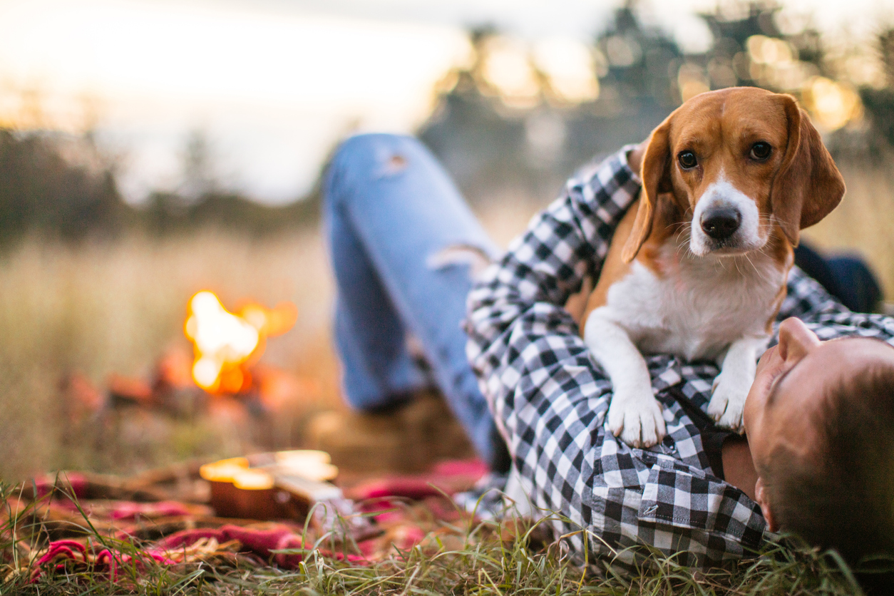 is yeast poisonous to dogs