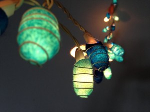 Organic Cocoon String Lights