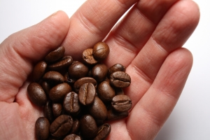 Green living: Coffee bean