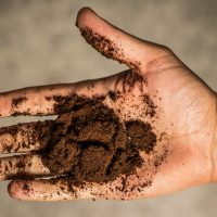 recycle coffee grounds