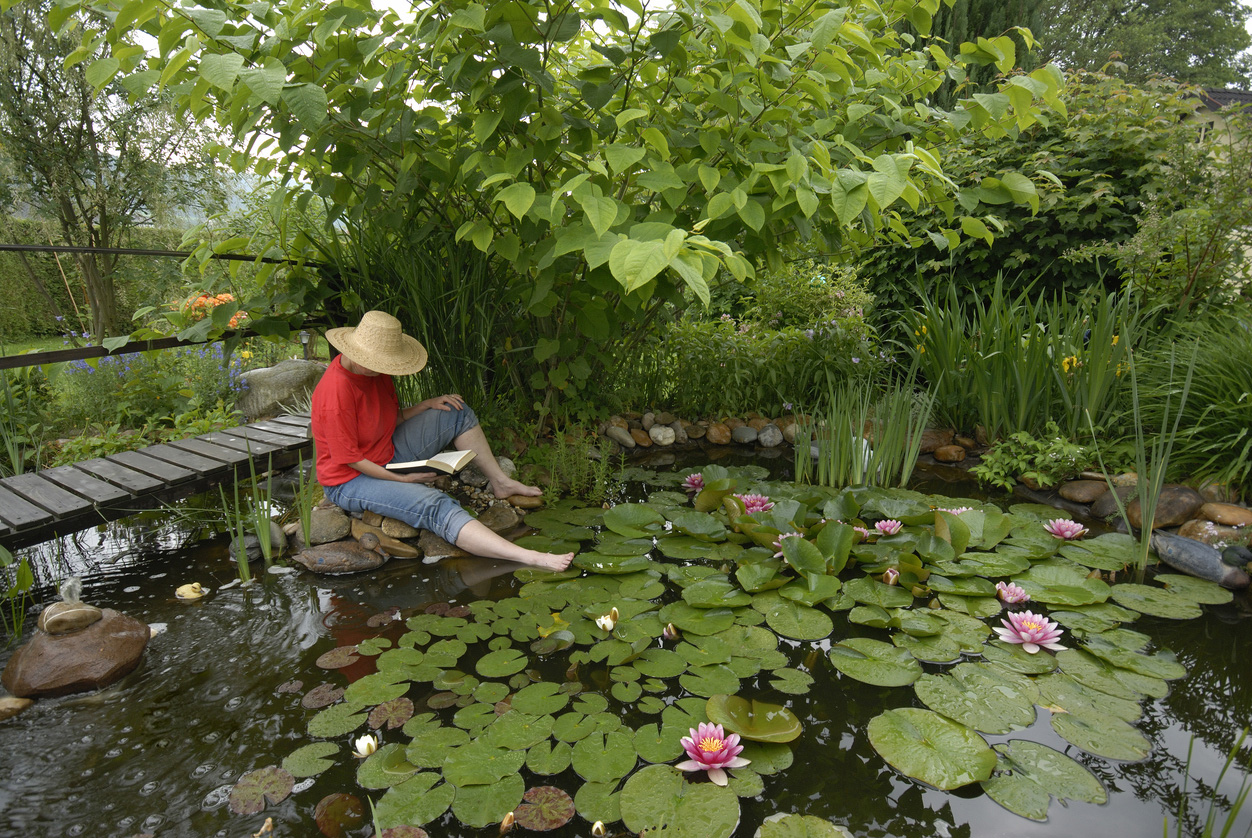 DIY garden pond