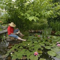 DIY garden ponds
