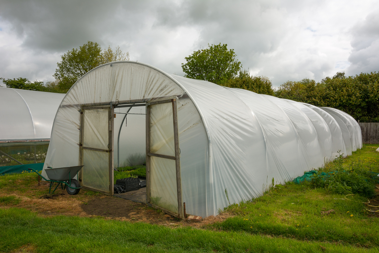 DIY Greenhouses you can Make in a Weekend Greenmoxie™
