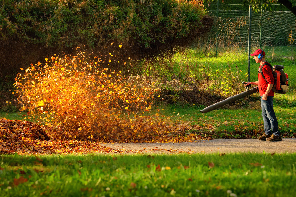 Leaf Blowers are bad