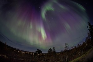 See the northern lights