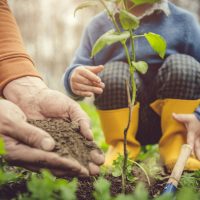 Gardening tips