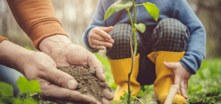 Gardening tips