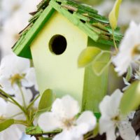 Free birdhouse plans