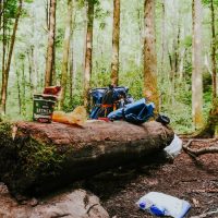 compostable bags