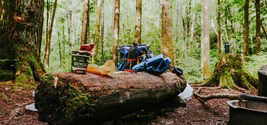 compostable bags