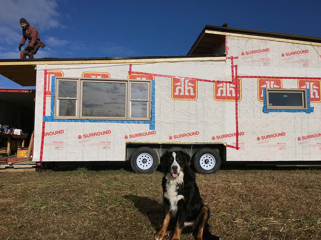 kobe-in-front-of-tiny-house