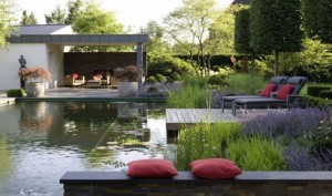 eco-friendly pond pools