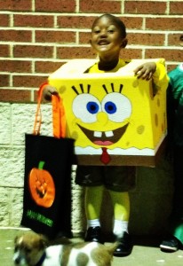 sponge bob